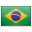 Brazil flag - Portuguese content